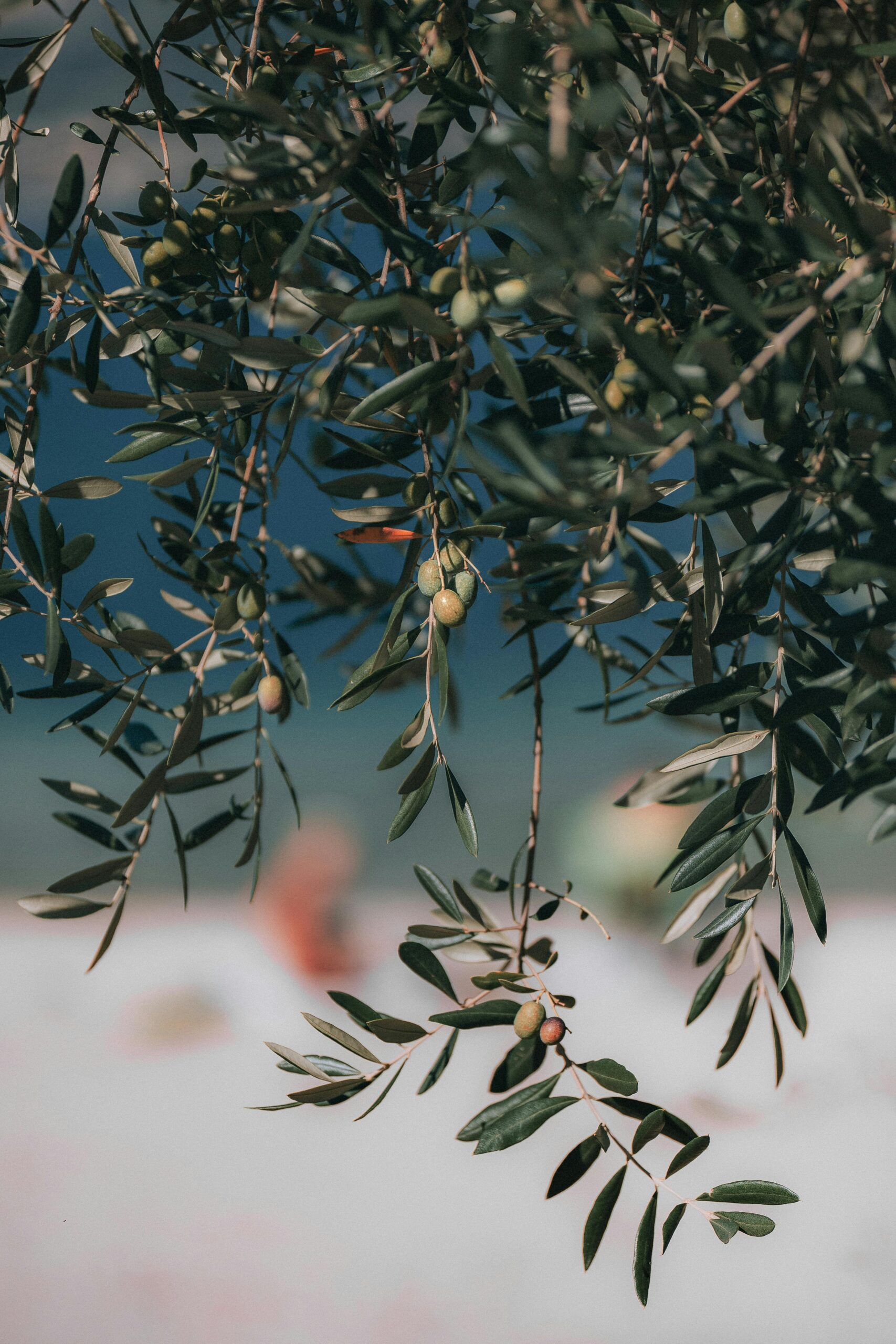 Olive Green thema: Modern, sfeervol en net even anders🌿